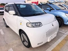 Ora White Cat Upgraded Edition 305km Comfort Edition Ternary Lithium - ფოტო 3