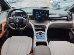 BYD Song Pro New Energy DM-i 51km Premium - ფოტო 9