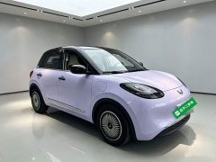 Wuling Binguo 333km Joy Edition - ფოტო 3