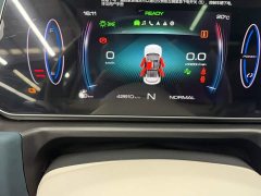 ORA Good Cat Morandi Edition 400km Standard Range Luxury Trim Ternary Lithium Battery - ფოტო 11
