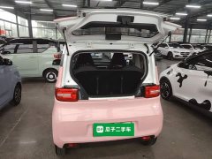 Wuling Hongguang MINIEV 2020 Zizai Edition LFP Battery - ფოტო 18
