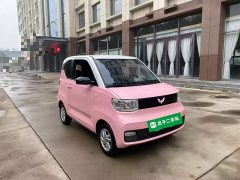 Wuling Hongguang MINIEV 2020 Zizai Edition LFP Battery - ფოტო 3