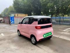 Wuling Hongguang MINIEV 2020 Zizai Edition LFP Battery - ფოტო 4