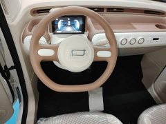 FAW Besturn Xiaoma 222km Cute Horse Plus - ფოტო 10