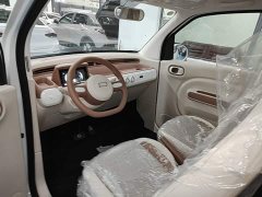 FAW Besturn Xiaoma 222km Cute Horse Plus - ფოტო 15