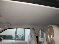 FAW Besturn Xiaoma 222km Cute Horse Plus - ფოტო 17