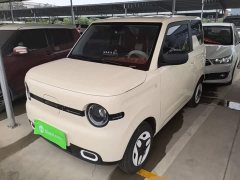 Geely Panda Mini 210km Vitality Edition - ფოტო 1