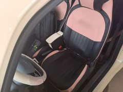 Geely Panda Mini 210km Vitality Edition - ფოტო 14