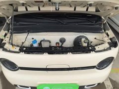 Geely Panda Mini 210km Vitality Edition - ფოტო 19