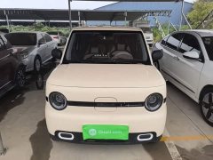 Geely Panda Mini 210km Vitality Edition - ფოტო 2