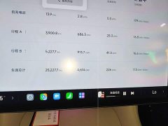 Xiaomi YU7 Rear-Wheel Drive Long-Range Edition - ფოტო 11
