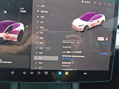 Tesla Model 3 2022 Rear-Wheel Drive - ფოტო 7