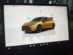Tesla Model Y Rear-Wheel Drive - ფოტო 11