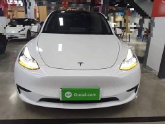 Tesla Model Y Rear-Wheel Drive - ფოტო 2