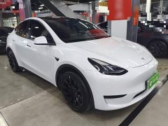 Tesla Model Y Rear-Wheel Drive - ფოტო 3