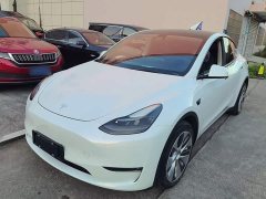 Tesla Model Y Long Range All-Wheel Drive - ფოტო 1