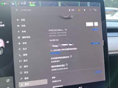 Tesla Model Y Long Range All-Wheel Drive - ფოტო 11