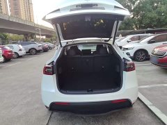 Tesla Model Y Long Range All-Wheel Drive - ფოტო 18