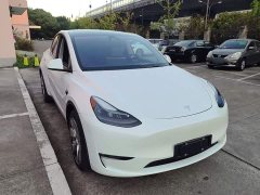 Tesla Model Y Long Range All-Wheel Drive - ფოტო 3