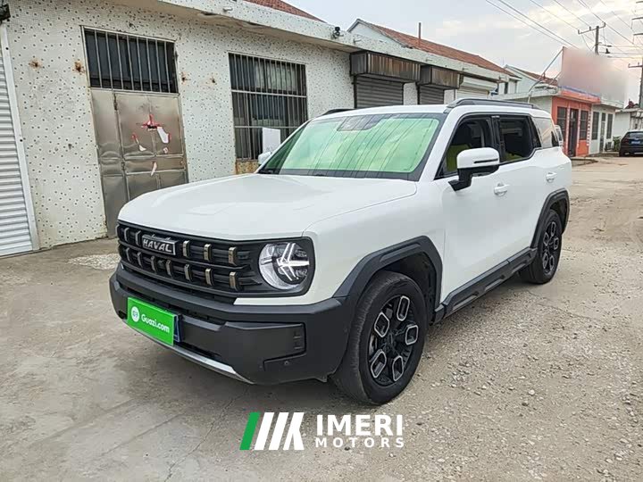 Haval Cool Dog 1.5T DCT AWD Trendy Wilderness Edition - ავტომობილი ჩინეთიდან