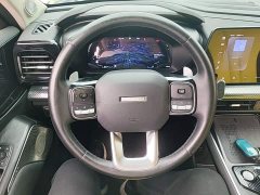 Haval Cool Dog 1.5T DCT AWD Trendy Wilderness Edition - ფოტო 10