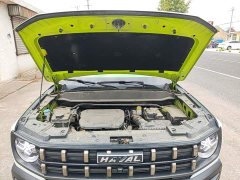 Haval Cool Dog 1.5T DCT AWD Trendy Wilderness Edition - ფოტო 19
