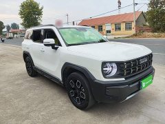 Haval Cool Dog 1.5T DCT AWD Trendy Wilderness Edition - ფოტო 3