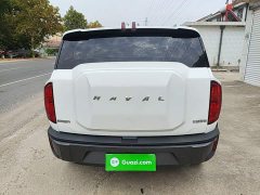 Haval Cool Dog 1.5T DCT AWD Trendy Wilderness Edition - ფოტო 5