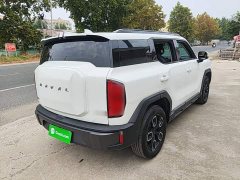 Haval Cool Dog 1.5T DCT AWD Trendy Wilderness Edition - ფოტო 6