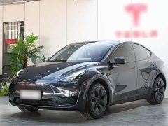 Tesla Model Y Rear-Wheel Drive - ფოტო 1