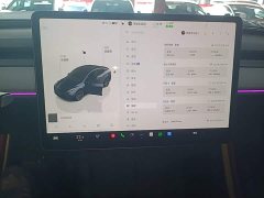 Tesla Model Y Rear-Wheel Drive - ფოტო 11