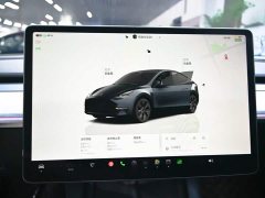 Tesla Model Y Rear-Wheel Drive - ფოტო 12