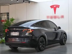 Tesla Model Y Rear-Wheel Drive - ფოტო 6