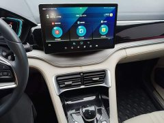 BYD Song Plus New Energy 2021 DM-i 110KM Flagship Plus - ფოტო 12