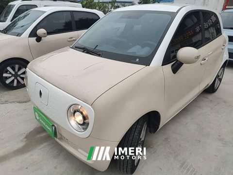 2021 ORA Black Cat 301km Base - ავტომობილი ჩინეთიდან