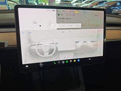 Tesla Model 3 Standard Range RWD Upgrade - ფოტო 12