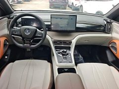 BYD Song Pro New Energy 2022 DM-i 110km Flagship - ფოტო 9
