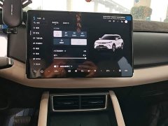 BYD Yuan UP Smart Drive 401KM Vitality Edition - ფოტო 12