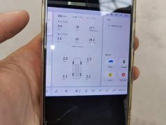 Li Auto L6 Max - ფოტო 11