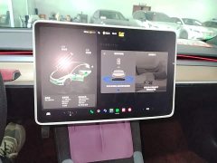 Tesla Model 3 2022 Rear-Wheel Drive - ფოტო 12