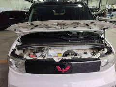 Wuling Hongguang MINIEV Zizai Edition LFP Battery - ფოტო 19