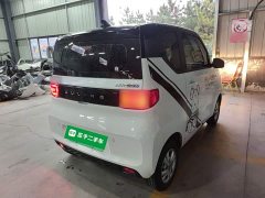 Wuling Hongguang MINIEV Zizai Edition LFP Battery - ფოტო 6