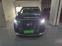 Buick GL8 ES Luxe Comfort - ფოტო 2