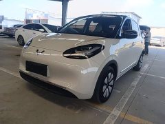 Wuling Binguo 2024 333km Joy Edition - ფოტო 1