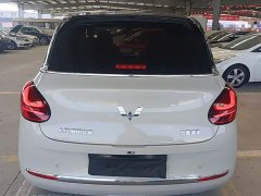 Wuling Binguo 2024 333km Joy Edition - ფოტო 5