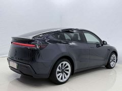Tesla Model Y Rear-Wheel Drive - ფოტო 12