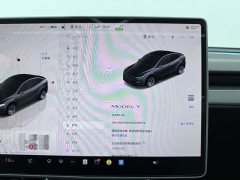 Tesla Model Y Rear-Wheel Drive - ფოტო 6