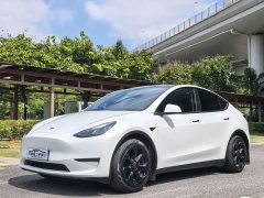Tesla Model Y 2022 Facelift Long Range All-Wheel Drive - ფოტო 1