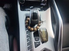 Geely Bingyue 1.4T DCT Diamond Edition - ფოტო 10
