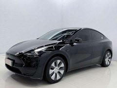 Tesla Model Y Rear-Wheel Drive - ფოტო 1